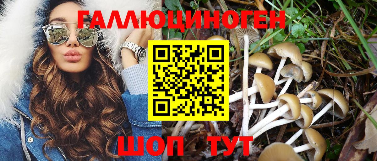 Владикавказ  Псилоцибиновые грибы Psilocybine cubensis  Вход с VPN 