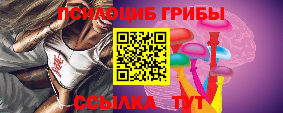 Галлюциногенные грибы Cubensis Владикавказ