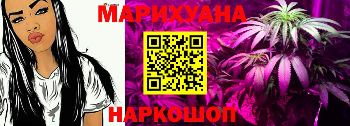 Шишки марихуана конопля Владикавказ
